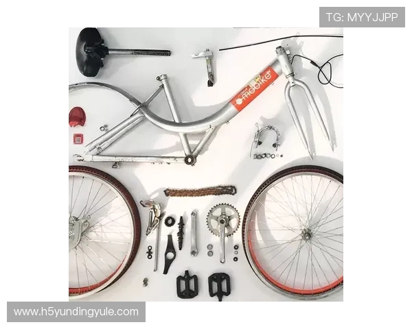 云顶新耀官网投注用户评价，真实体验分享助你做出明智选择