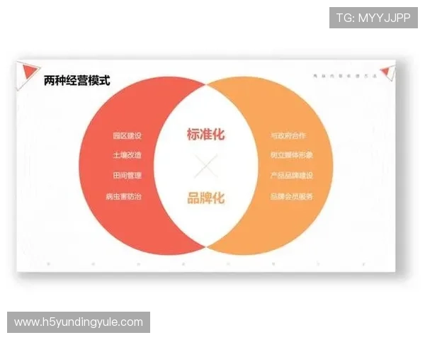 三公牌玩法比大小的实用技巧和常见误区分析助你成为牌技高手 三公牌玩法比大小的实用技巧和常见误区分析助你成为牌技高手