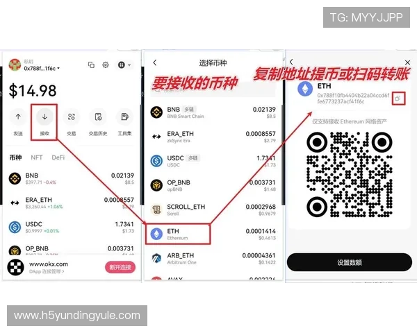 云顶集团官网下载页面无法访问的原因分析及应对措施指南