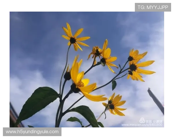 马来西亚云顶山庄交通指南与出行建议帮助你轻松抵达享受假日时光