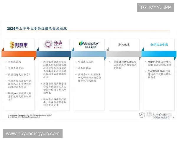 云顶新耀官网安全风险管理体系建设全面分析确保平台稳定运行与用户信息保护